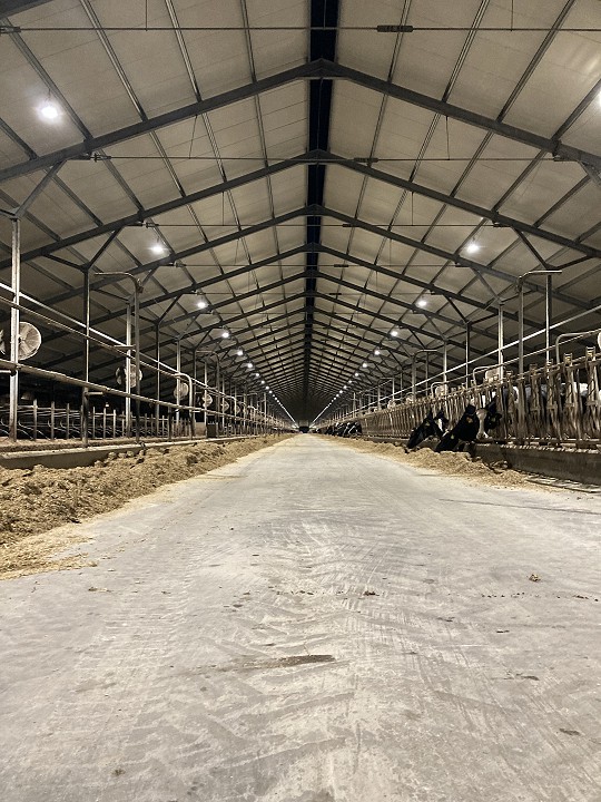 Szarvasmarhatelep Bonafarm Zrt