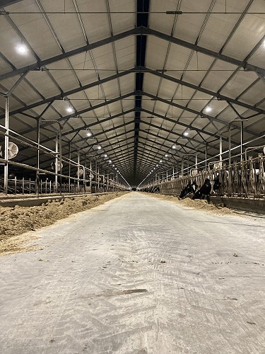 Szarvasmarhatelep Bonafarm Zrt