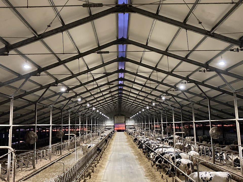 Szarvasmarhatelep Bonafarm Zrt