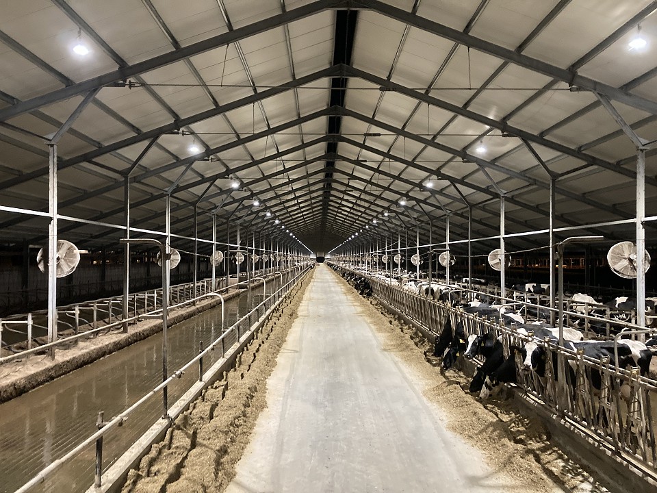 Szarvasmarhatelep Bonafarm Zrt